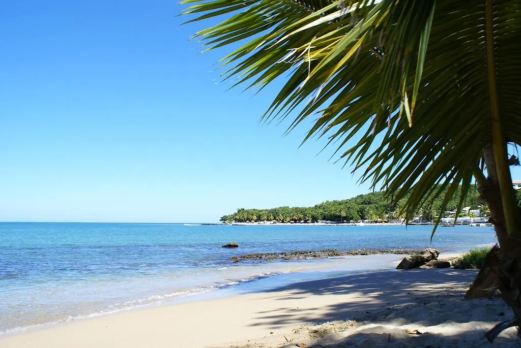 Palm Cottage Castries Saint Lucia