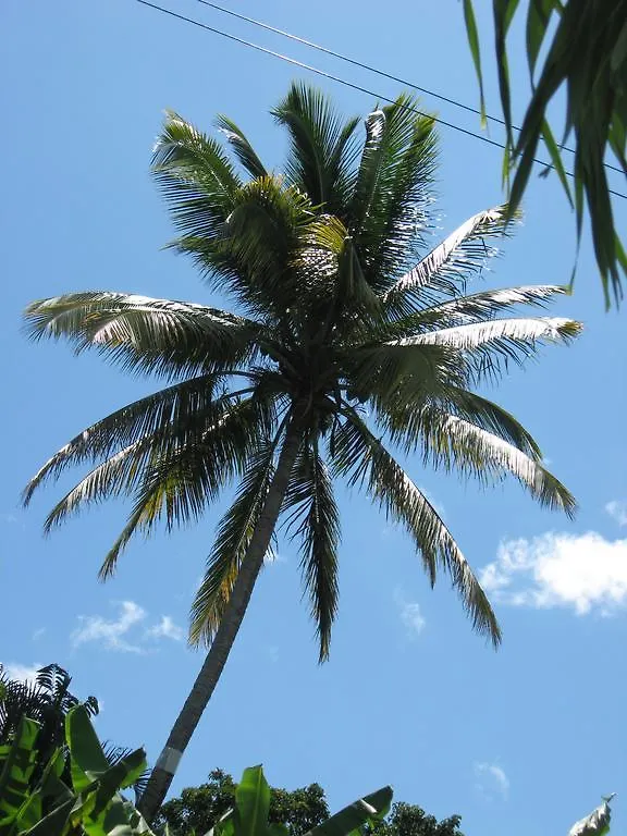 Palm Cottage Castries Saint Lucia