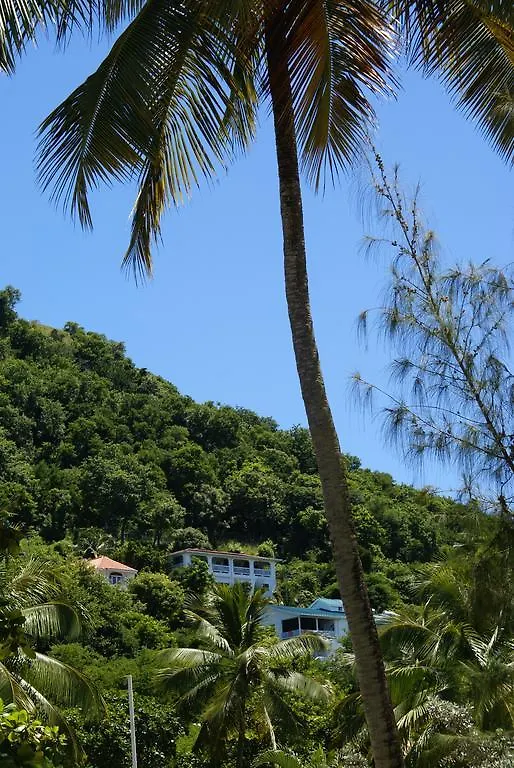 Palm Cottage Castries 0*,