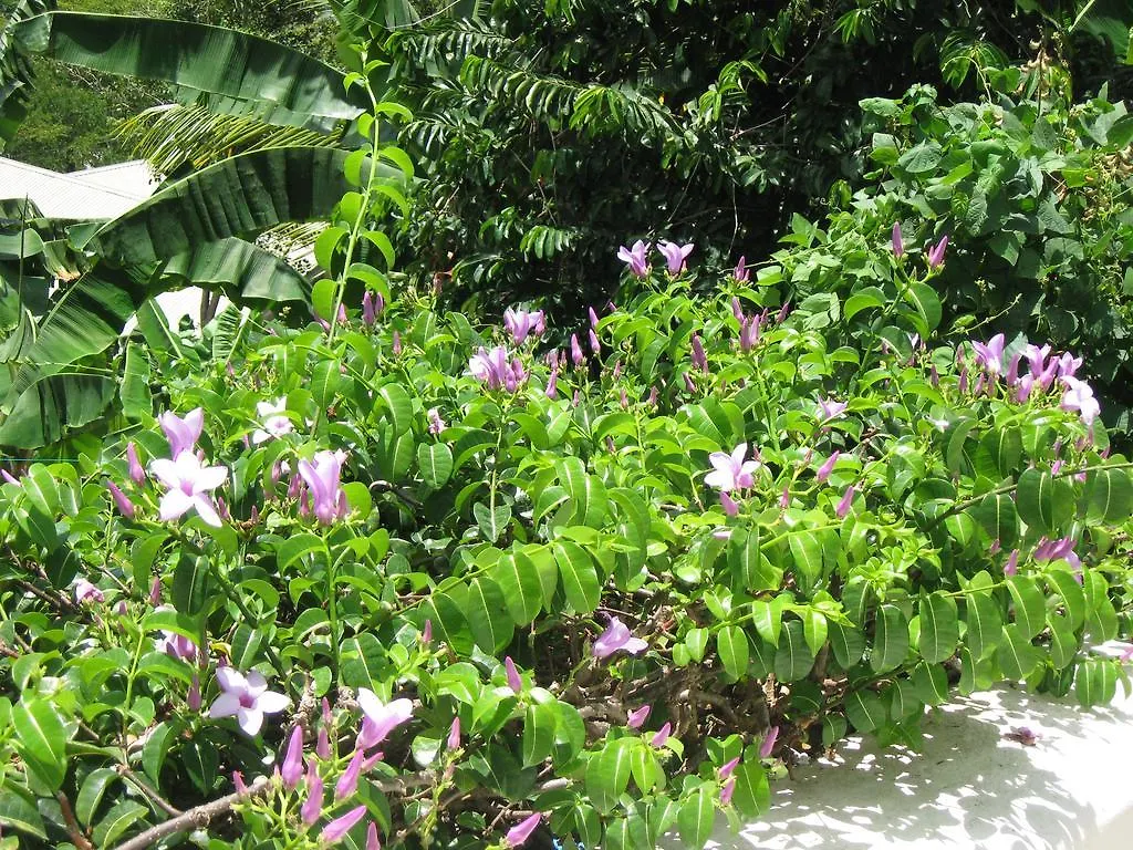 Palm Cottage Castries
